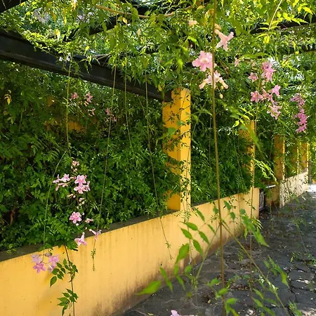 Bellasombra Suites 2* Las Palmas / Gran Canaria