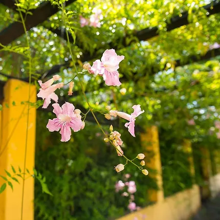 Bellasombra Suites Las Palmas