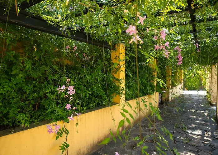 Bellasombra Suites 2* Las Palmas / Gran Canaria